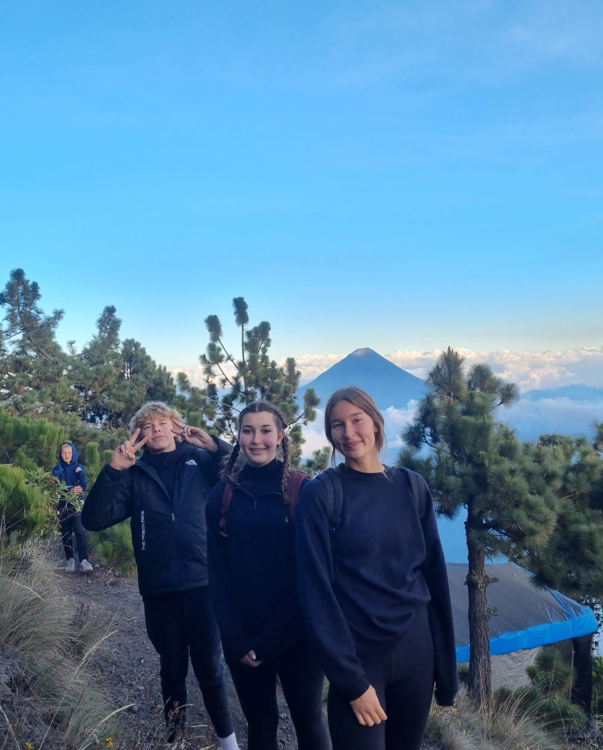 gallery grid image
